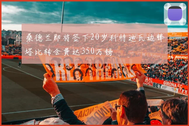 桑德兰即将签下20岁科特迪瓦边锋塔比转会费达350万镑