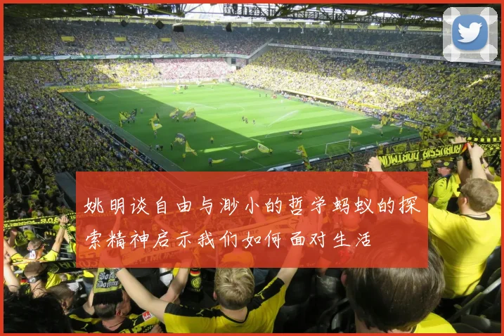 姚明谈自由与渺小的哲学蚂蚁的探索精神启示我们如何面对生活